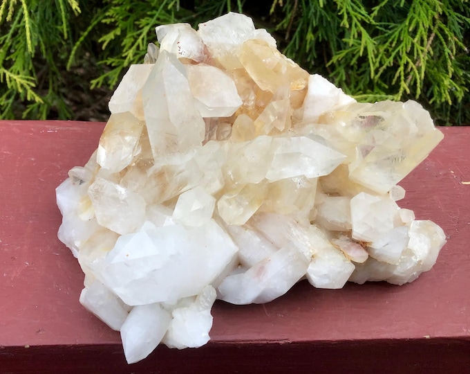 CLEARANCE! ~ Golden Healer Clear Quartz Crystal Cluster ~ Large 15 oz. ~ 4" Long ~ Mined in Arkansas, USA ~ Metaphysical Home Decor