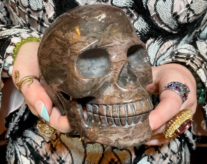 Chocolate Jasper Crystal Skull ~ Large 2 Lb. 15 oz. ~ 5" Long ~ High Quality Expertly Hand Carved Sculpture ~ Vivid Colors