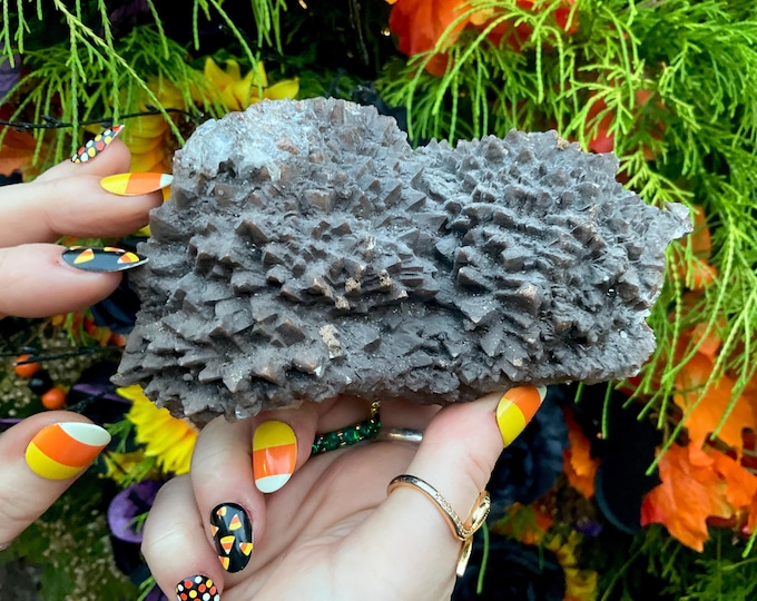 Cave Calcite Crystal Cluster ~ Large 1 Lb. 5" Long ~ Natural Two-Sided Display Mineral on Matrix ~ Sparkling Points ~ Fast & Free Shipping