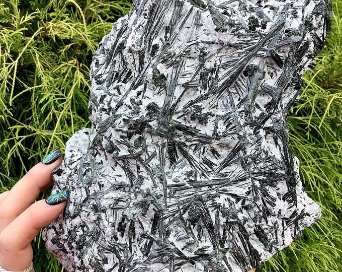 CLEARANCE ~ Green Actinolite Crystal Cluster ~ Large 7 lb. 14 oz. ~ 7" Tall ~ Natural Unpolished Raw Stone ~ Self-Standing Display