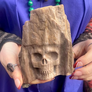 Petrified Wood Crystal Skull Carving ~ Large 1 Lb. 2 oz. ~ 4 1/2&quot; Tall ~ Expertly Hand Carved Sculpture ~ Metaphysical Home Decor ~
