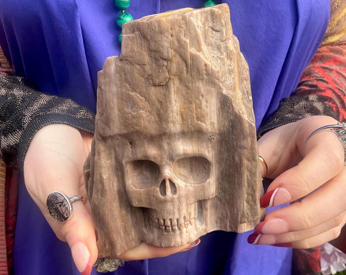 Petrified Wood Crystal Skull Carving ~ Large 1 Lb. 2 oz. ~ 4 1/2" Tall ~ Expertly Hand Carved Sculpture ~ Metaphysical Home Decor ~