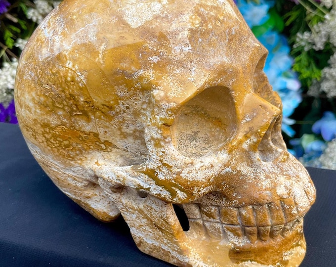 Yellow Ocean Jasper Crystal Skull ~ Large 2 Lb. 6 oz. ~ 5" Long High Quality ~ Expertly Hand-Carved Sculpture Vivid Colors