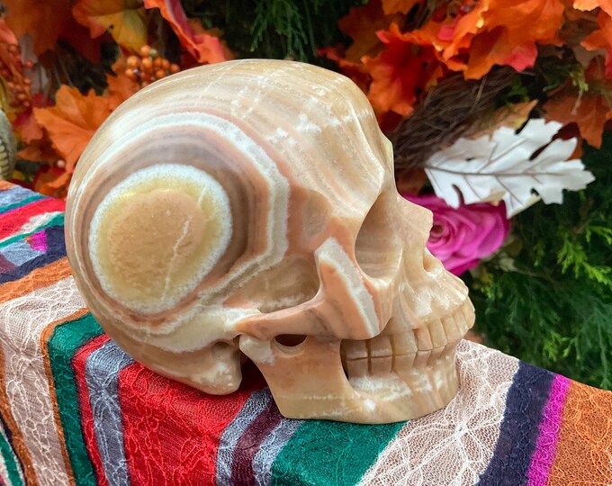 Golden Calcite Crystal Skull ~ Large 2 Lb. 13 oz.  ~ 5" Long ~ Hand Carved Sculpture ~ Sparkling Banded Yellow White Grey & Black Colors