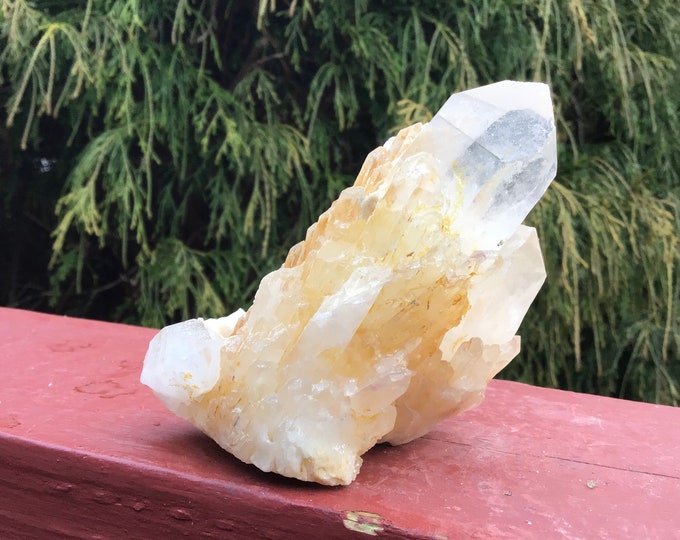 Elestial Quartz Crystal Cluster ~ 6.5 oz. ~ 3" Tall ~ Natural Tibetan Golden Healer ~ Sparkling Clear Golden Crystal Cascading Points