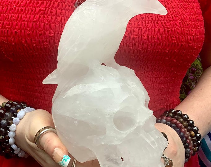 Clear Quartz Crystal Raven Skull ~ Large 3 Lb. 9 oz. ~ 7" Tall ~ Hand Carved ~ Translucent One-of-a-Kind Carving