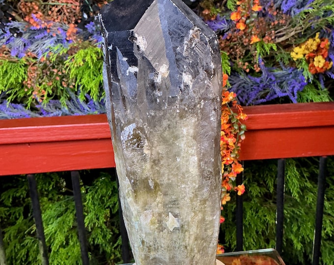 Black Morion Quartz Display Crystal 6 Lb. 15 oz.  Single-Terminated Point Cluster ~ 11" Tall ~Natural Black Color ~ Custom Hand Carved Stand