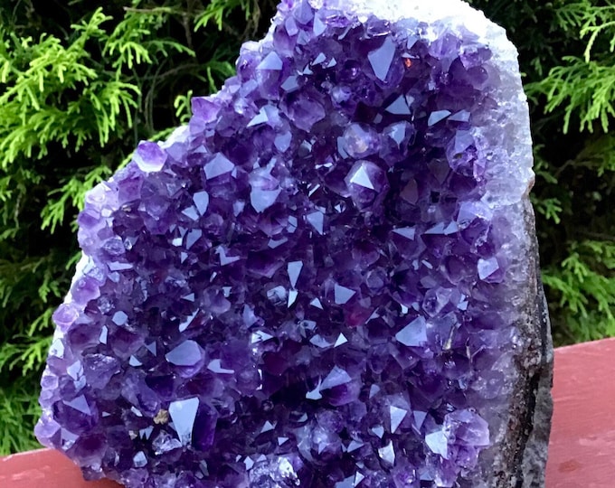 CLEARANCE! ~ Amethyst Crystal Cluster ~ Large 5 lb. 6 oz. ~ 6" Tall ~ Reiki Display ~ Beautiful Purple Quartz Points ~ Big Specimen