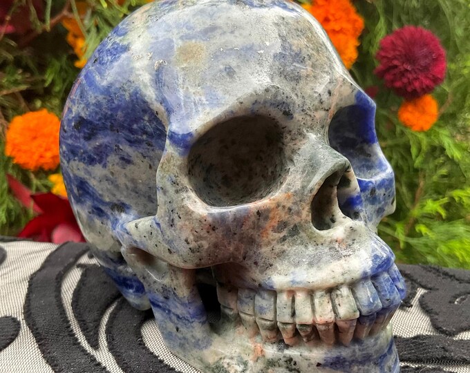 Sodalite Crystal Skull ~ Large 2 Lb. 13 oz. ~ 5" Long ~ Hand Crafted Sparkling Blue & White Sculpture ~ Reiki Display