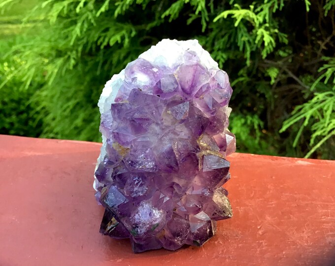 Amethyst Crystal Cluster ~ 7.4 oz. ~ 2" Tall ~ Reiki Display ~ Beautiful Purple Points ~ Fast & Free Shipping, USA + Global Shipping ~