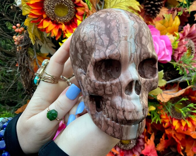 Jasper Crystal Skull ~ Large 3 Lb. ~ 5" Long High Quality ~ Expertly Hand-Carved Sculpture Vivid Colors ~ Fast & Free Shipping