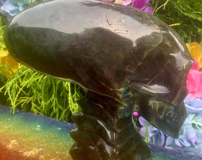 CLEARANCE! ~ Labradorite Crystal Alien Skull ~ Large 4 Lb. 8 oz. ~ 7" Long ~ Hand Carved Elongated Head ~ Sparkling Iridescent Flashes