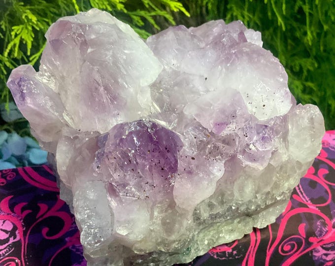 Amethyst Crystal Cluster ~ Large 5 lb. 8 oz. ~ 5" Long ~ Reiki Display ~ Beautiful Purple Quartz Points