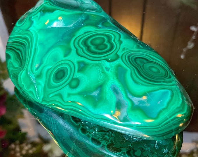 Malachite Freeform Crystal ~ Large 12 oz. ~ 4" Long ~ Beautiful Polished Green Mineral Specimen Display ~ Swirling Bullseye Patterns