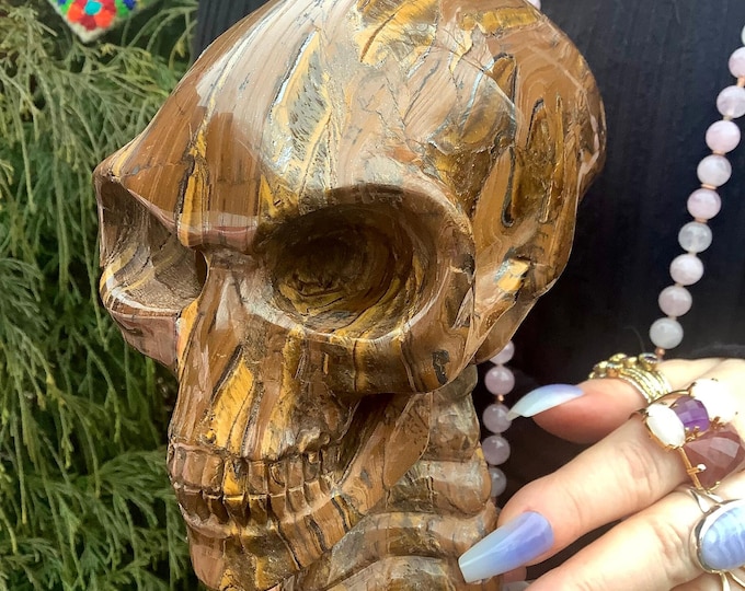 Alien Skull African Tiger's Eye Crystal Large 4 Lb. 15 oz. One-of-a-Kind Carving ~ 6" Long ~ High Quality Hand Carved Life Size