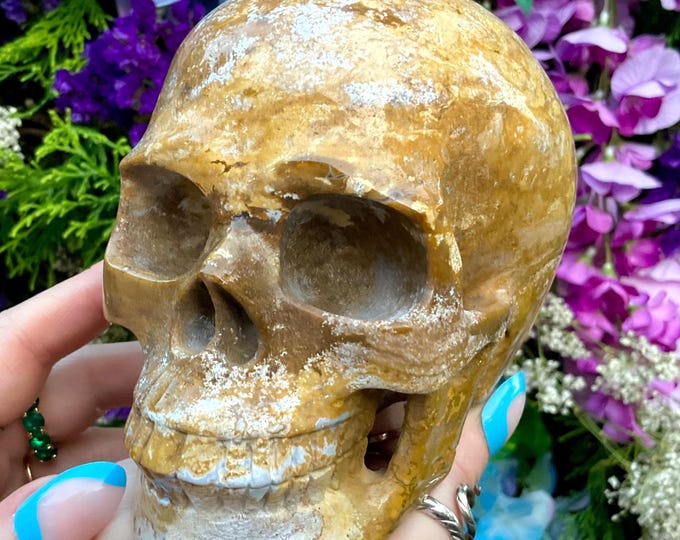 Golden Ocean Jasper Crystal Skull ~ Large 2 Lb. 9 oz. ~ 5" Long High Quality ~ Expertly Hand-Carved Sculpture Vivid Colors