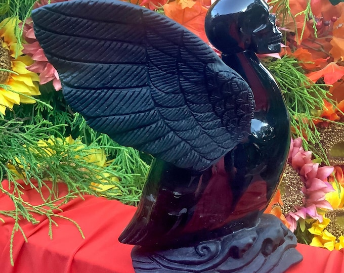 Black Obsidian Swan Skull Crystal Sculpture ~ Large 4 Lb. 11 oz. ~ 7" Tall ~ High Quality ~ Expertly Hand Carved ~ Sparkling Black & Matte