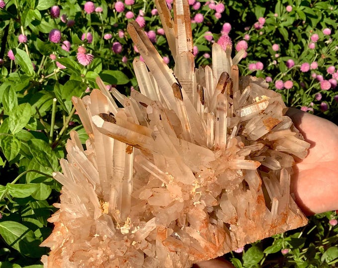 Lemurian Quartz Crystal Cluster ~ Large 7 Lb. ~ 7" Long ~ Stunning Metaphysical Home Decor ~ Reiki Altar Display ~ Fast & Free Shipping, USA