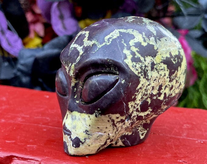 Electric Green and Red Jasper Alien Crystal Skull ~ 5 oz. ~ 2" Long ~ Stunning Home Decor ~ Altar Display ~ Fast & Free Shipping