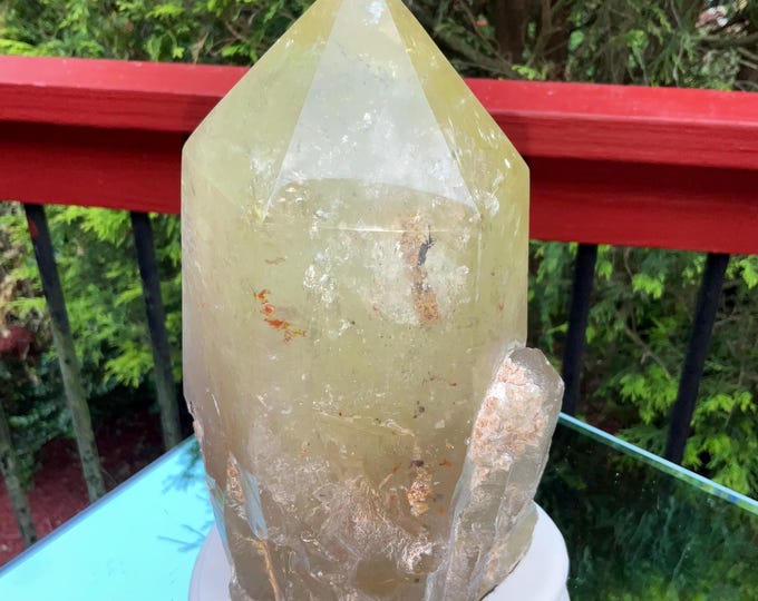 Clear Citrine Quartz Crystal Point ~ 6 Lb.  9 oz. ~ 8" Tall~ Sparkling Yellow with Golden Rainbow Inclusions ~ Custom Hand Carved Stand
