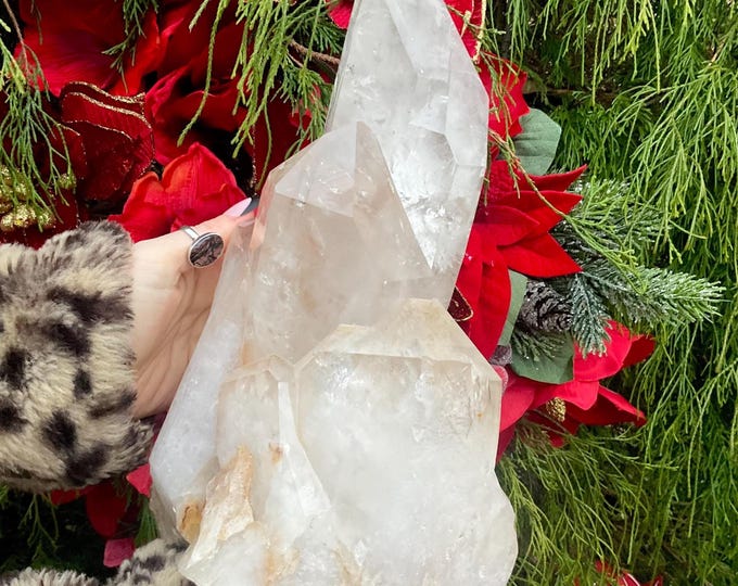 Brazilian Clear Quartz Crystal Cluster ~ 10 lb. 11 oz. ~ 12" Tall ~ Sparkling Crystal Points ~ Fast & Free Shipping, USA + Global Shipping ~