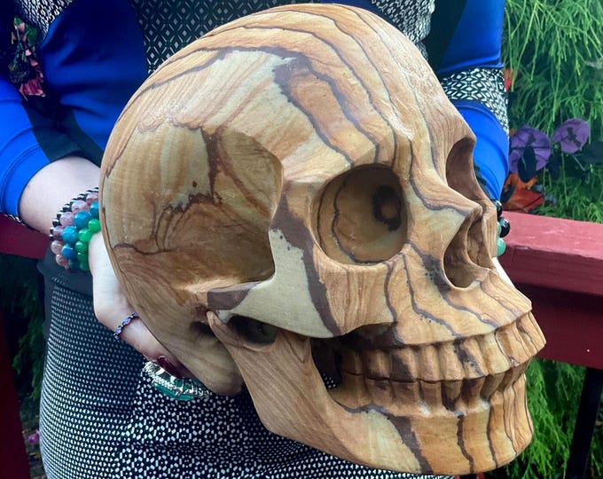 Picture Jasper Crystal Skull ~ Large 21 Lb. ~ 10" Long ~ One of-a Kind Expertly Hand Carved Sculpture ~ Sand, Golden, Beige Colors ~