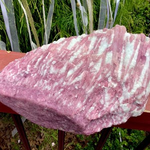 May include: A large, raw mineral specimen featuring a striking combination of vibrant pink tourmaline crystals embedded within a white quartz matrix. The stone displays a rough, natural texture with elongated, vertical crystal formations throughout.