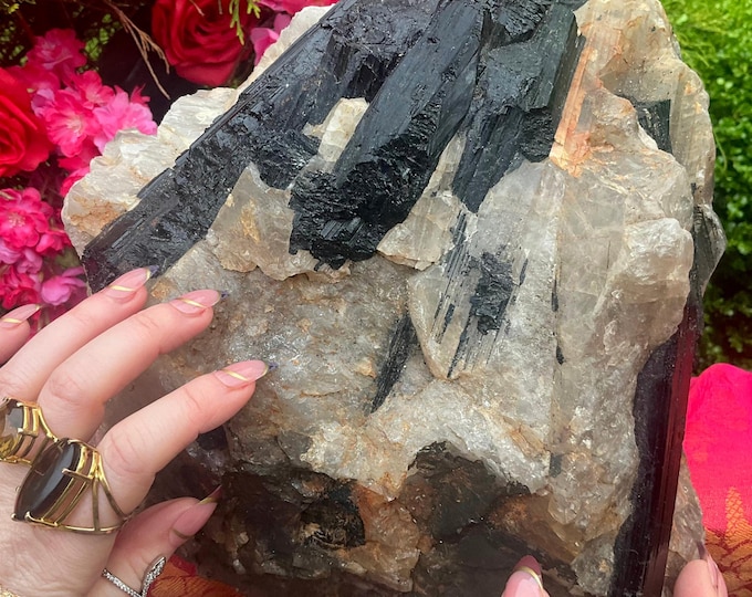 Black Tourmaline Crystal in Quartz Cluster ~ Large 36 lb. ~ 10" Long ~ Natural Beautiful Altar Display ~ Fast & Free Shipping