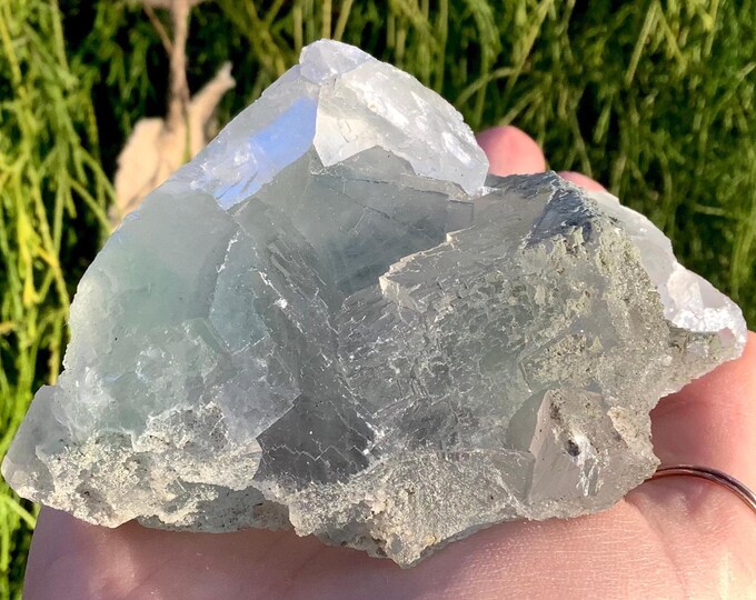 Minty Green Fluorite Crystal Cluster ~ 10 oz. ~ 4" Long ~ Translucent Cubic Formation ~ Metaphysical Home Decor ~ Fast & Free Shipping ~