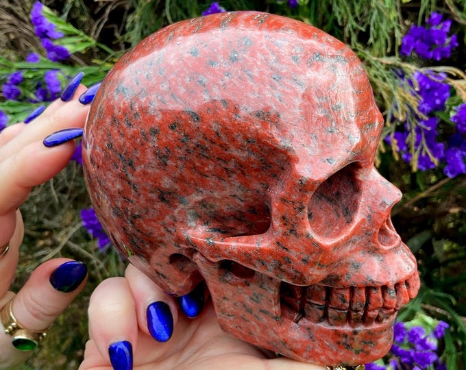 Red Jasper Crystal Skull ~ 2 Lb. 13 oz. ~ 5" Long ~ Root Chakra Altar Display ~ Kundalini Stone ~ Metaphysical Home Decor, Reiki, Feng Shui