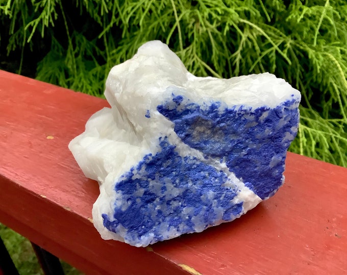 Blue Dumortierite on Quartz Crystal Cluster ~ Large 1 Lb. 4 oz. ~ 4" Long ~ Sparkling Color ~ Fast & Free Shipping, USA + Global Shipping ~