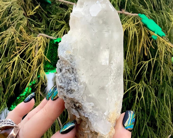 Himalayan Quartz Cluster ~ 12 oz. ~ 4 1/2" Long ~ Actinolite Encrusted Inclusions ~ Reiki Healing Altar Display ~ Metaphysical Home Decor