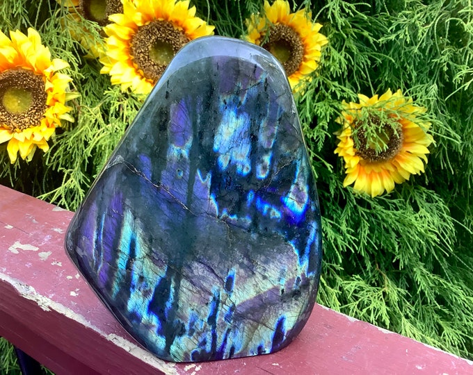 Labradorite Crystal Freeform ~ Large 4 lb. 3 oz. ~ 6" Tall ~ Flashing Electric Blue & Gold Colors ~ High Quality Polished Specimen ~