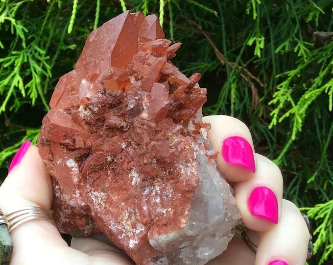 Red Quartz Crystal Cluster ~ Large 8.8 oz. ~ 3 1/2" Long ~ Root Chakra, Kundalini, Reiki Healing Altar Display, Meditation, Metaphysical ~