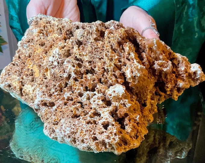 Fossil Coral & Agate Cluster ~ Large 6 Lb. 11 oz. ~ 9" Long ~ Gemmy Colorful Agate Botryoidal Rounded Segments on Natural Prehistoric Matrix