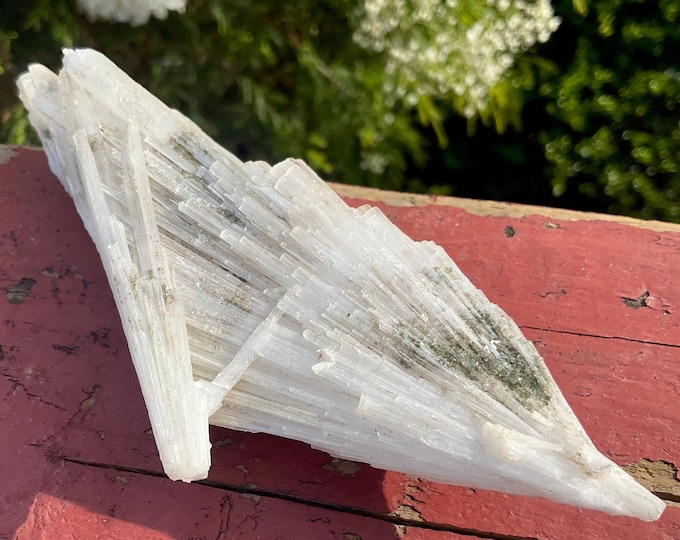 CLEARANCE! ~ Scolecite Spray Crystal Cluster ~ 3 oz. ~ 6" Long ~ Synergy 12 Crystal ~ Incredible Sparkling Dainty Long Points