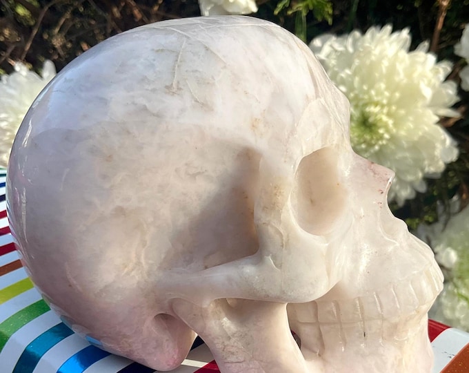 White Agate Crystal Skull ~ 2 Lb. 13 oz. ~ 5" Long ~ Swirling White Colors ~ Expertly Hand-Carved Display Sculpture