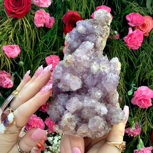 Cúmulo de cristales de cacoxenita y amatista - 2 libras, 6 onzas ~ 7" de largo ~ Ejemplar raro de colección ~ Hermosas puntas violetas ~ Envío rápido y gratuito