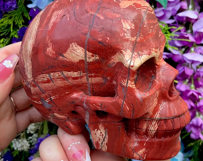 Red Jasper Crystal Skull ~ 3 Lb. 7 oz. ~ 5" Long ~ Root Chakra Reiki Healing Altar Display ~ Metaphysical Home Decor ~ Kundalini Meditation
