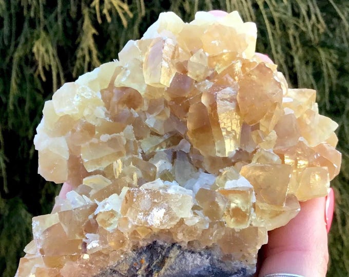 Yellow Calcite Crystal Cluster ~ 7 oz. ~ 4" Long ~ Sparkling Golden Translucent Crystals ~ Sacred Geometry Cubic Formation ~ Gem Quality