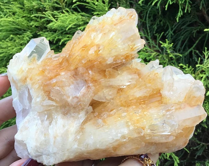 Golden Healer Elestial Quartz Crystal Cluster ~ Large 1 Lb. 13 oz. ~ 4 1/2" Long ~ Big Sparkling Points ~ Fast & Free Shipping