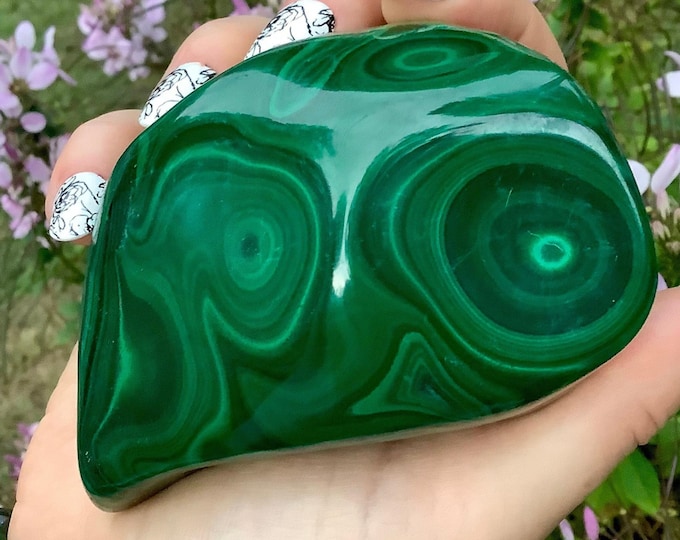 Malachite Freeform Crystal ~ Large 1 Lb. ~ Swirling Bullseye Patterns ~ 3 1/2" Long ~ Beautiful Polished Green Mineral Specimen ~ Congo