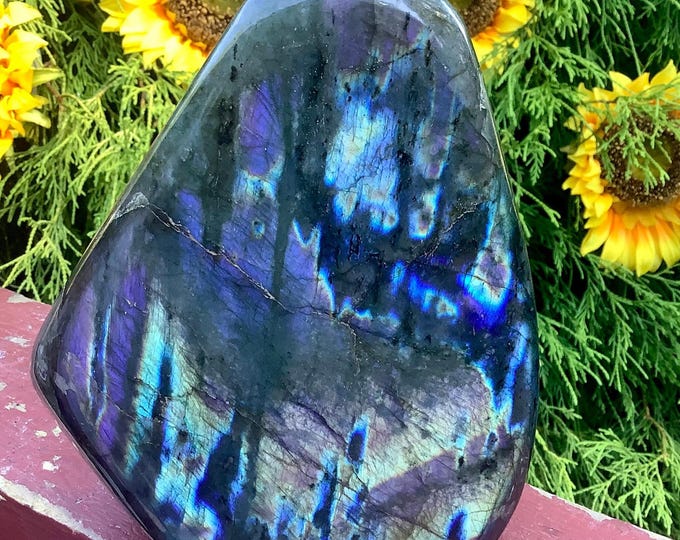 Labradorite Crystal Freeform ~ Large 4 lb. 3 oz. ~ 6" Tall ~ Flashing Electric Blue & Gold Colors ~ High Quality Polished Specimen ~