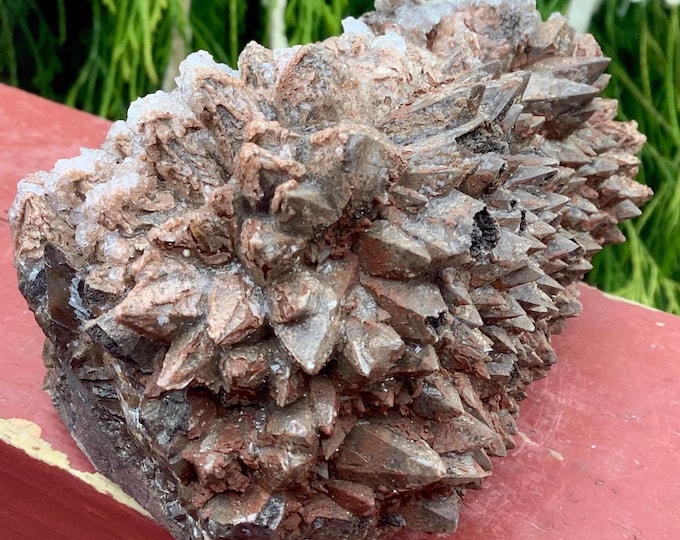 CLEARANCE! ~ Dogtooth Calcite Specimen 1 Lb. 5 oz. Cluster ~ 4" Long ~ Natural Display Mineral on Matrix ~ Sparkling Points