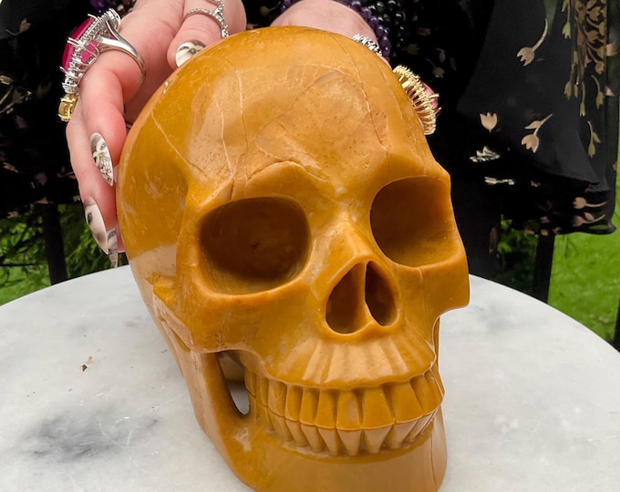 Yellow Jasper Crystal Life-Size Skull ~ Large 7 Lb 11 oz ~ 6" Long ~ High Quality ~ Expertly Hand-Carved ~ Solar Plexus Chakra Altar Display