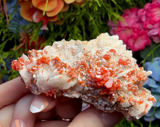 CLEARANCE ~ Vanadinite on Barite Cluster ~ Large 7 oz.  ~ 3" Long ~ Ultra Sparkling Red Crystals ~ Gorgeous Altar Display Crystal