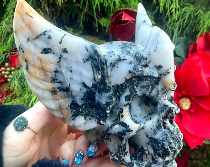 Tourmaline in Quartz Winged Apollo Skull ~ 3 Lb 13 oz. ~ 6" Long ~ Expertly Detailed Hand-Carved Sculpture ~ Swirling Black & White Colors