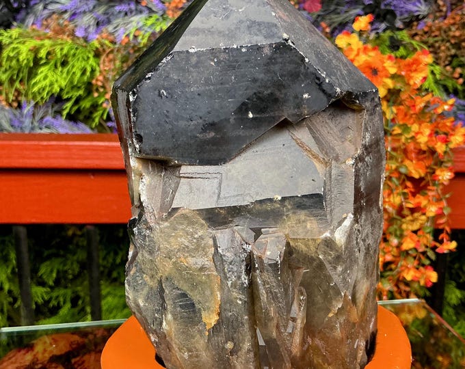 Black Morion Quartz Display Crystal 6 Lb. 8 oz.  Single-Terminated Point Cluster ~ 7" Tall ~Natural Black Color ~ Custom Hand Carved Stand