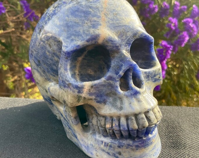 Sodalite Crystal Skull ~ Large 2 Lb. 13 oz. ~ 5" Long ~ Hand Crafted Sparkling Blue & White Sculpture ~ Reiki Display ~ Fast Shipping
