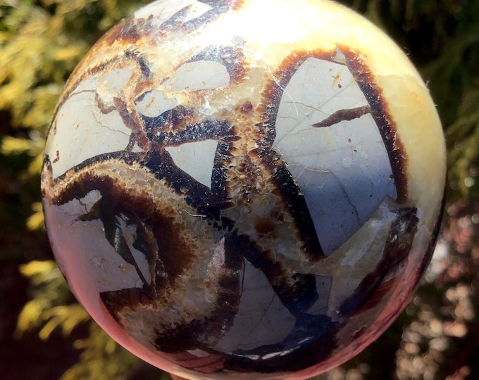 Septarian Dragon Stone Crystal Ball ~ 11 oz. ~ 2" Wide ~ Beautiful Display ~ Reiki, Altar, Feng Shui, Yoga~ Free & Fast Shipping from USA